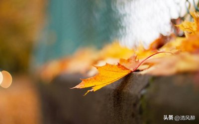 ​唯美至极的句子