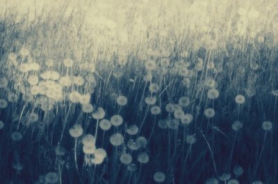 ​唯美的句子短句83句