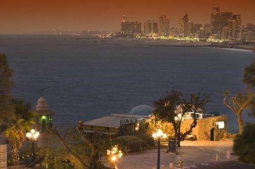 2025年有关优美伤感句子集锦49条