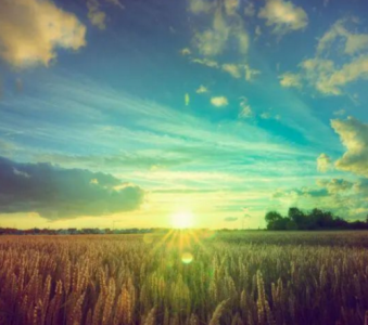 ​心理格言经典短句（29句心理学格言，值得用一生去领会）