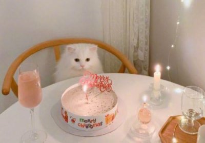 ​植树节环保宣传文案句子(精选85句)