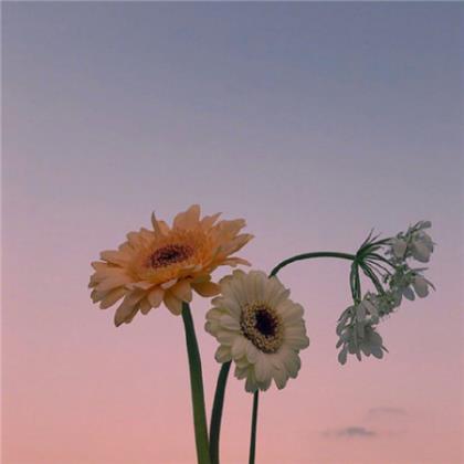 让男人看了心疼的句子