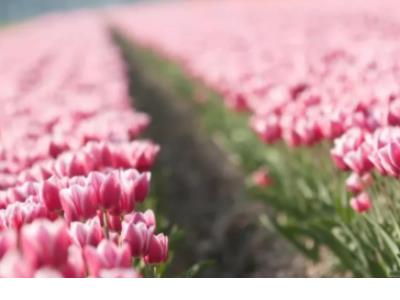 恋人的离别伤感的句子