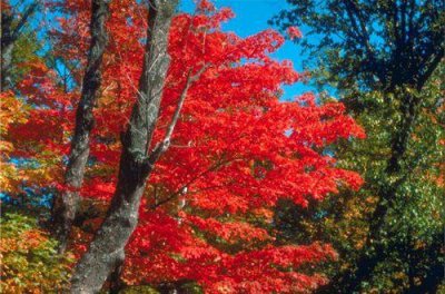 ​对别人表达感恩的句子 感恩语录大全合集60句