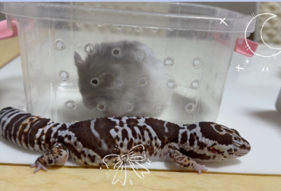 ​关于期待落空的心情的句子