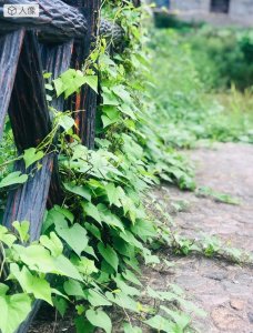 ​暖心的留言句子，送给每一位女孩