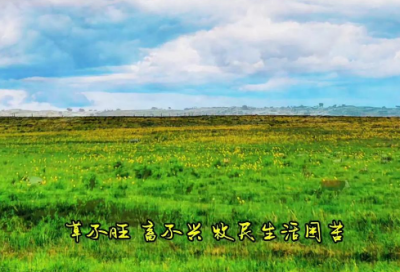 ​张爱玲爱情名言佳句46句