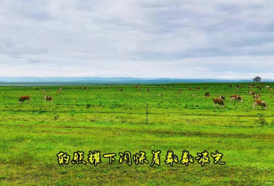 ​谦虚低调的名言警句