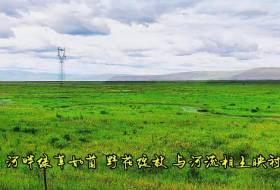 ​细节决定成败的名言