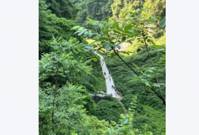 ​最新的关于成长的名人名言集锦大全