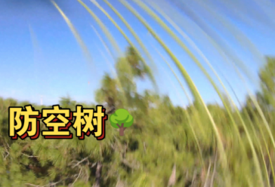 ​2025缅怀烈士的名言名句