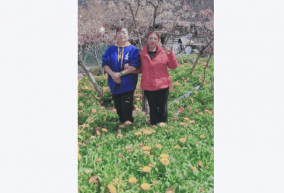 ​关于月亮的优美句子20句