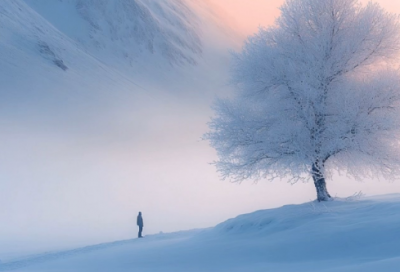 ​老子是癞蛤蟆语录81句