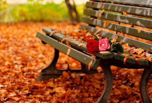 1761152254309764.png image.png