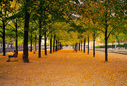 1761152421234541.png image.png