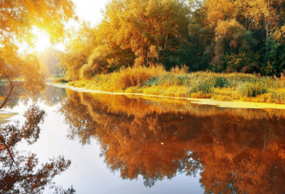 ​心里难过的语录 伤心难过的语录