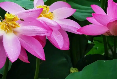 ​朋友圈友谊的简短经典语录