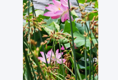 1761153254777019.png image.png