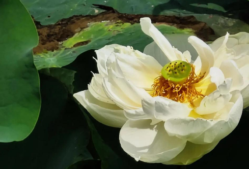 1761153420175951.png image.png