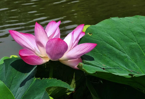 1761153756587573.png image.png