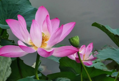 ​名人经典语录大全 名言名句经典语录