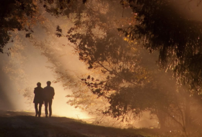 李大仁经典语录大全 李大康经典语录