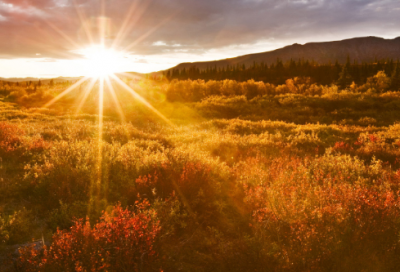 简单的心情不好语录摘录