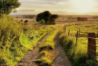 网上泡妞语录80句