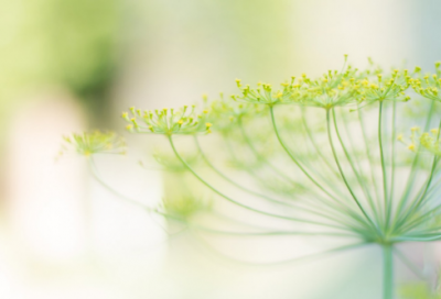 性格经典语录88句