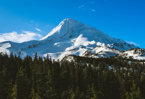 1761157757346578.png image.png