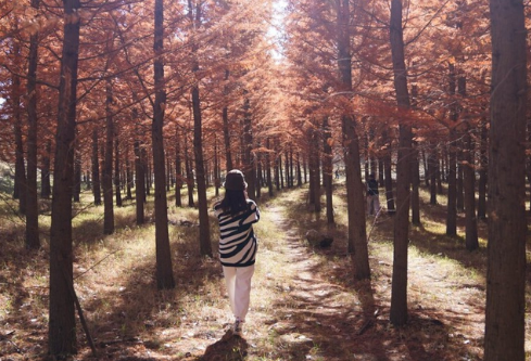 1761157924394277.png image.png