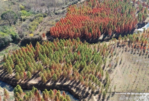 1761158090882994.png image.png