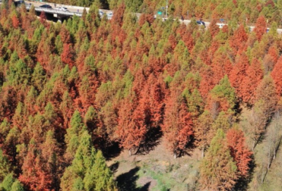 ​富士康总裁经典语录 富士康总裁语录