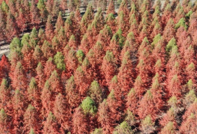 ​晚上对老婆说晚安的情话语录