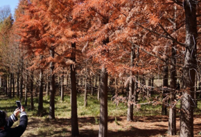​感悟人生经典语录大全