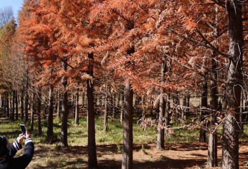 1761158588513951.png image.png