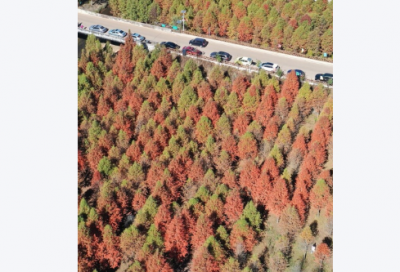 ​安慰自己的经典语句 安慰自己经典语录