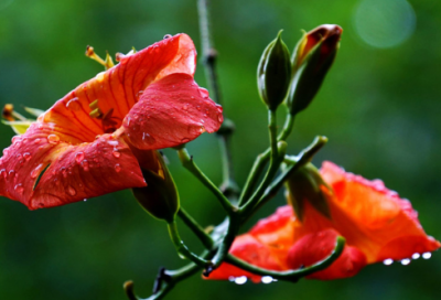 ​心情经典语录大全80句