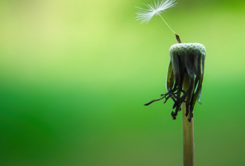 1761159254725515.png image.png