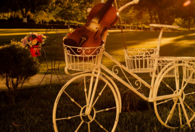 ​每日情话 每日话经典语录