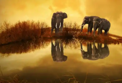 ​村上春树经典语句 春上村树经典语录