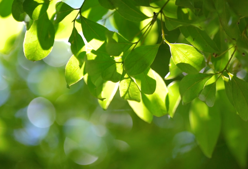 1761160419957937.png image.png