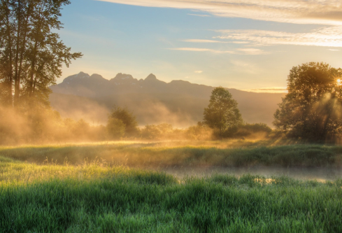 1761160585162175.png image.png