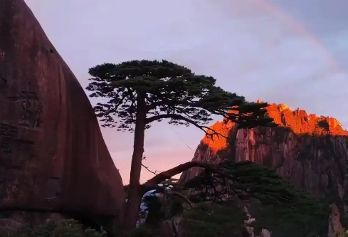 1761160918757461.png image.png