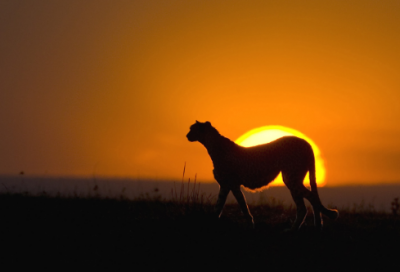 美好过往的爱情语录 美好爱情经典语录