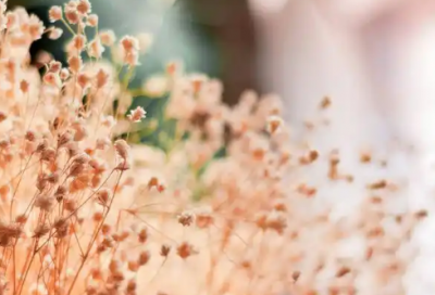 名书名句经典语录书名及作者