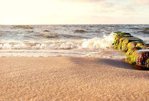 1761163911107710.png image.png