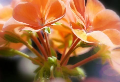 1761164410802585.png image.png