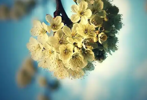 1761164576838878.png image.png