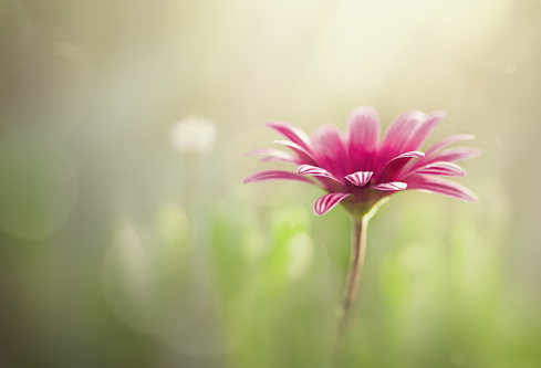 1761165075267230.png image.png